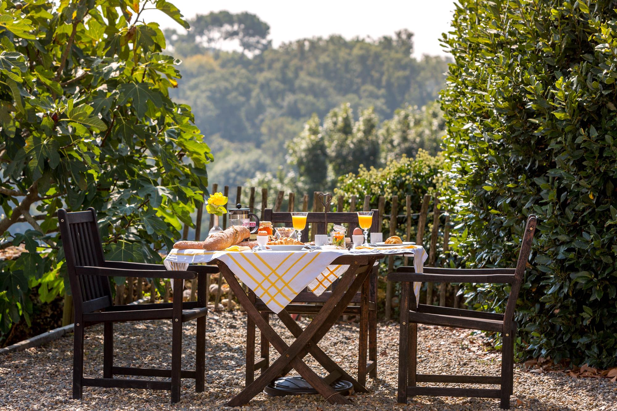 Breakfast on the Terrace