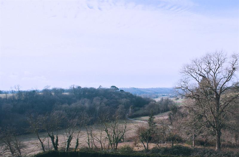 View over Estate